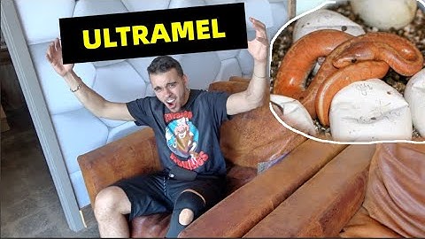 Pic Of The Week! Insane Ball Pythons !!