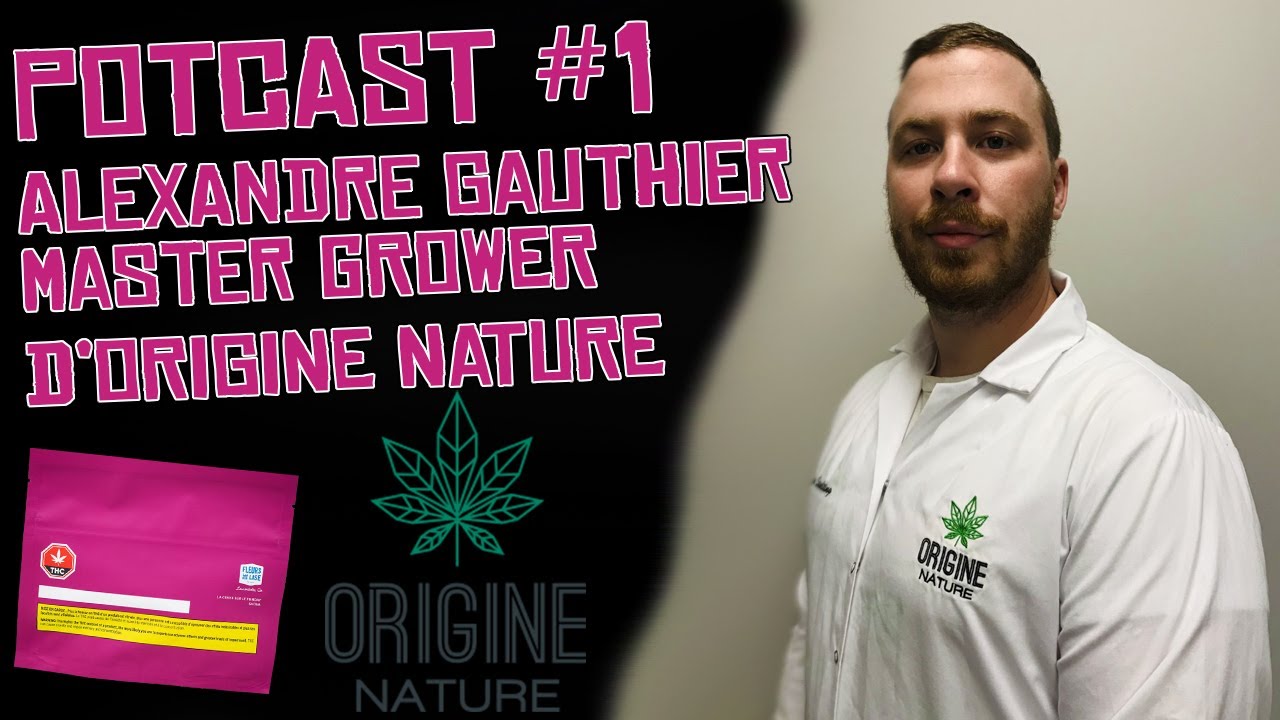 Rencontre avec Alexandre Gauthier d'Origine Nature. Master grower du Cerise sur le Funday ! PART 1