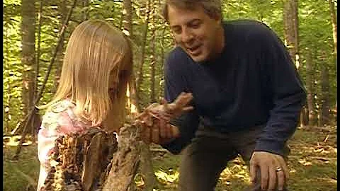 David Kirk: Friend of Miss Spider