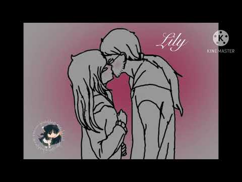 Ma préférence - Daycore