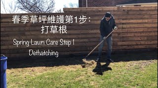 春季草坪维护1.打草根 Spring Lawn Care1. Dethatching