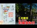 【5月限定】美しすぎる刺繍御朱印からはじまる東京旅