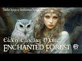 Elven realms  enchanted forest ambient fantasy elvish music elves ambientmusic