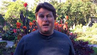 A Thanksgiving Message 2017