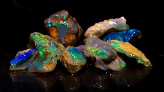 LIVE opal cutting session and Tucson gem show recap