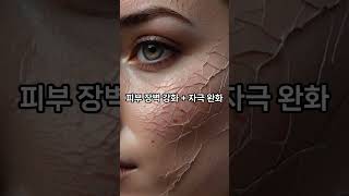 여름철 피부진정에좋은 5가지 #건강 #정보 #여름 #피부 #물놀이