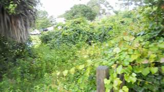 1127 Southwinds Dr - 3