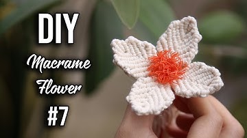#7 DIY Macrame Flower Tutorial Using 3 Ply Cord 3mm 🌸 Easy Pattern 🌸 How to macrame by LIT decor 🌸