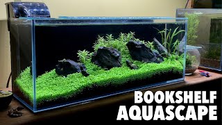 Aquascaping A 3 Gallon Long Bookshelf Aquarium With Carpet Seeds