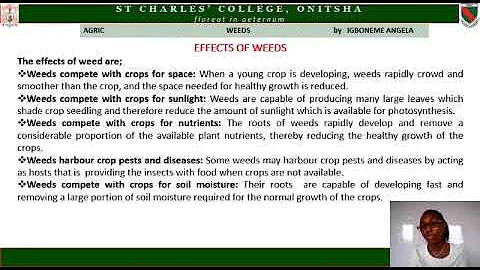Agric - WEEDS by Angela Igboneme