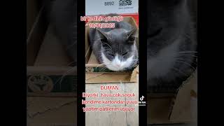 Duman, kendine ev yaptı