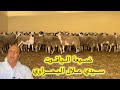 لأول مرة قناة مول لعوينة تحدد ثمن كبش عيد الأضحى 2026 في ضيعة الياقوت عيد الاضحى الرباط اكسبلور 