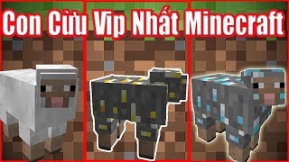 Nếu Bạn Nuôi Được Con Cừu Vip Nhất Minecraft**Sự Tiến Hóa Của Con Cừu Và Cuộc Sống Của Noob