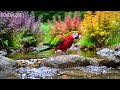 🔴 LIVE: Peaceful Nature &amp; Healing Piano 🕊️ Calm Music for Stress Relief &amp; Focus