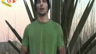 Sequence 02.wmv