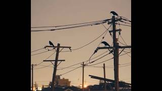 『現のカーニバル ututu no carnival 』／ goateatspoem.