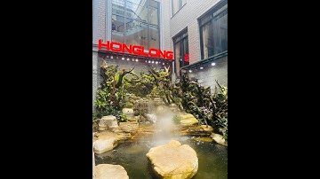 Hồ cá koi đẹp kết hợp bán cạn - Hồ cá Koi Bán Cạn ngoài trời đẹp ở TP Lào Cai | Cây Cảnh Lê Hoàng