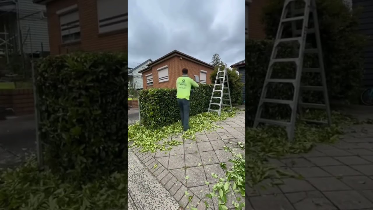 Neat hedges make a big difference! Let Jim’s Mowing take care of the trimming Neat hedges make a big difference! Let Jim’s Mowing take care of the trimming