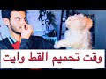 تحميم القط وايت 😍 ( تعلم معي تحميم القطط الكبيره بالشكل الصحيح ) / Mohamed Vlog