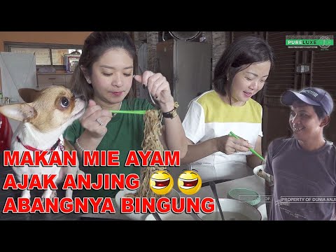 MAKAN MIE AYAM NGAJAK ANJING BIKIN ABANGNYA BINGUNG - CICI CANTIK & MOLLY