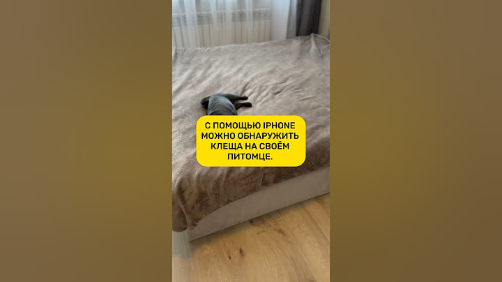 Как с помощью iPhone можно обнаружить клеща на своём питомце
