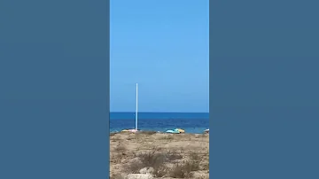 شاطئ السعيدية 