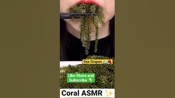 ASMR Eating Sea Grapes 🌊🍇#asmr #coralasmr #shorts #mukbang #seagrapes