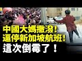 中國大媽恐怖 見到東西就搶 大媽撒潑 逼停新加坡航班 這次倒霉了 看大陸 中國大媽恐怖 見到東西就搶 大媽撒潑 逼停新加坡航班 這次倒霉了 看大陸