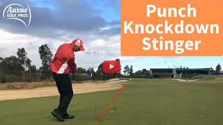 Punch Shot vs Knockdown Shot vs Tiger Woods Stinger