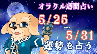 【週間占い】いわゆる給料日前、ってやつですね。何に使おうかな/ オラクルカード第152回【Vtuber/星戌セン/#vtuber #オラクルカード #占い】