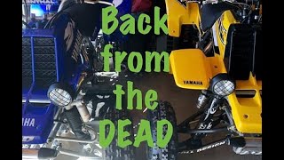 Back From The Dead Mikes Alba Yamaha Banshee 350 06 Special Edition