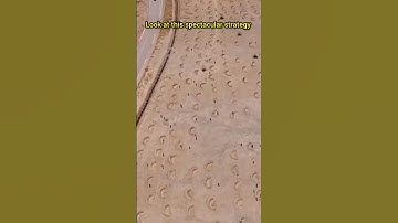 How Africa Restores Desert Into Fertile Farmland & Trees