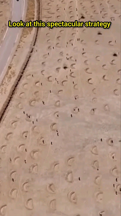 How Africa Restores Desert Into Fertile Farmland & Trees