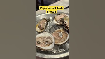 Thumbnail of Great waterfront dining near Venice, Florida #shorts