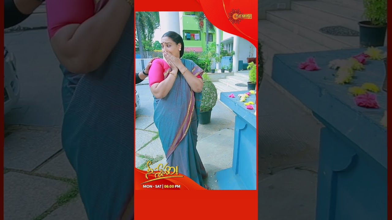 Nee Sneham | Gemini TV 