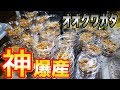産卵木からこんなに沢山の幼虫が出てきました