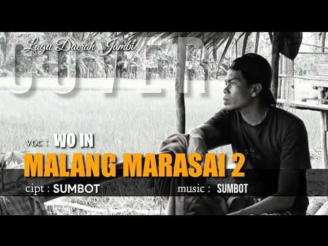 MALANG MARASAI 2 - Lagu Daerah Jambi - Wo in ~ cover. (official music video) class=