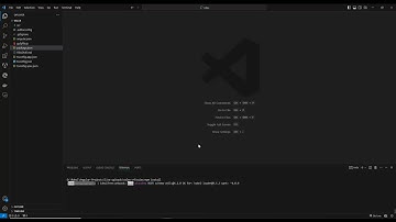 Installation Process Of  Valex – Premium Angular Admin Template