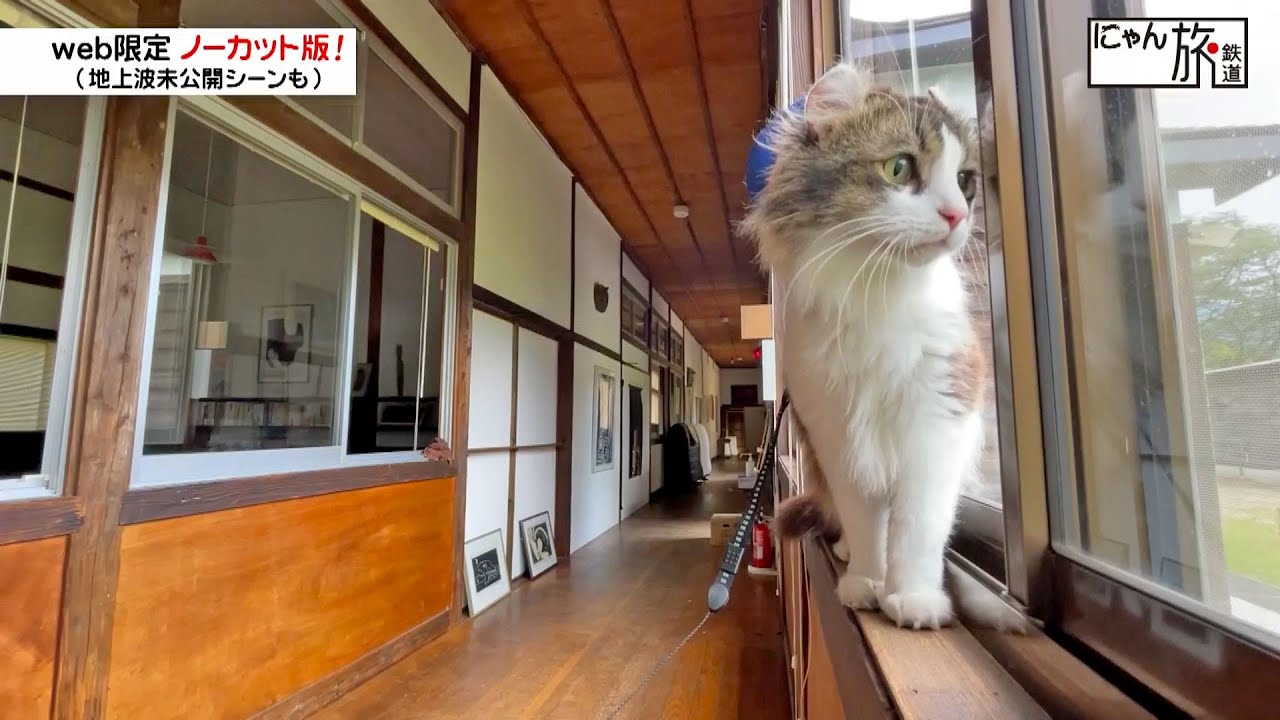 Vol.137「にゃん旅鉄道」また来ちゃったにゃ！【らぶ駅長】【ねこ駅長