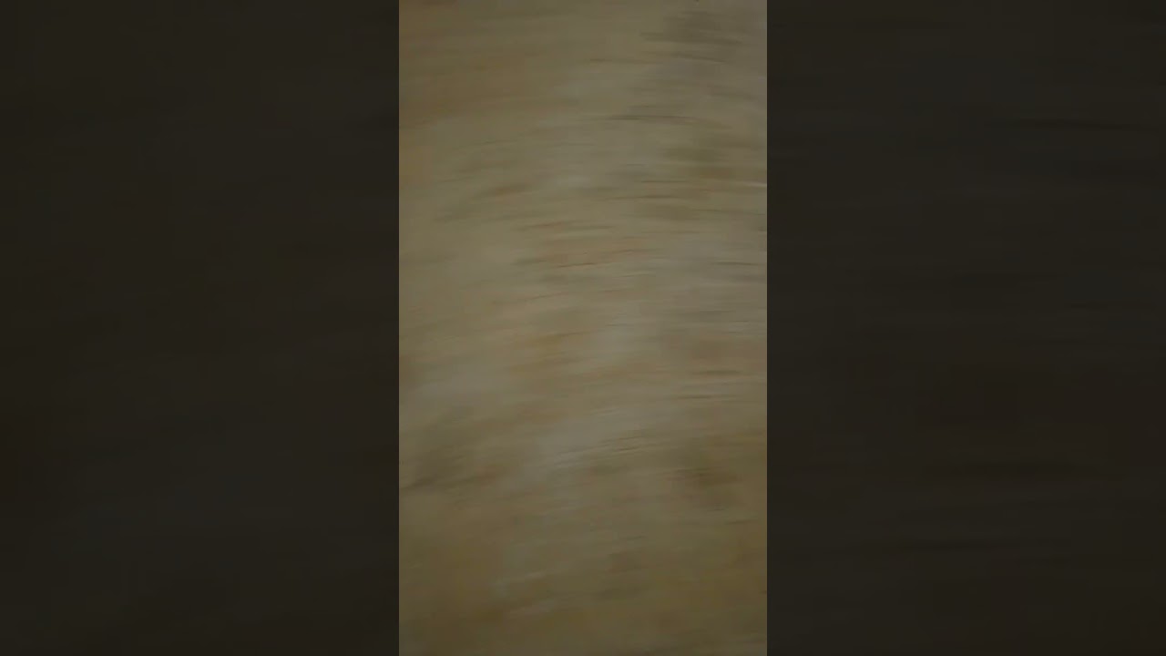 poor booshoot 😭😭😭