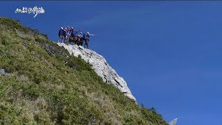 20190811【886】MIT台灣誌 新康橫斷 風雨烈日行 嘉明湖高山列車 向陽慢慢開