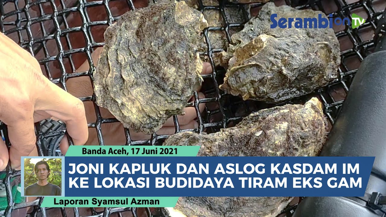 Joni Kapluk dan Aslog Kasdam IM Kunjungi Lokasi Budidaya Tiram Eks Jubir GAM Pase di Banda Aceh