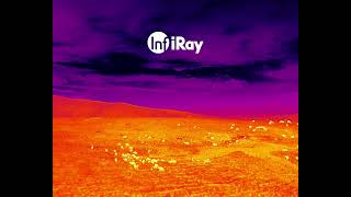 Drone Photography | Thermal Vision | InfiRay