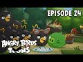 Angry Birds Toons | Bombina - S2 Ep24