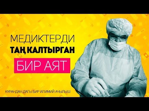 Video: Уйкудагы аюу адамдарды куткарууга жардам берет