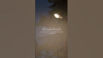 سوره الفرقان بصوت محمد اللحيدان اكتب شي تؤجر عليه #قرآن #قران_كريم #راحة#محمد_اللحيدان#سورة_الفرقان