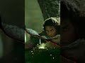 The Unstoppable Force: Tarak's Epic Journey in Rebel Moon