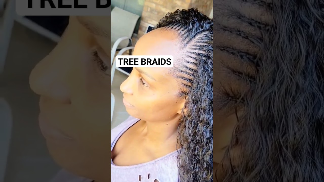 #Treebraids