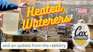 Heated Waterers For Rabbits Hook Up And Vlog Update On Marshas Litter