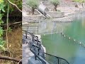 Yardenit is a popular Baptism site in Israel 6.4.2011